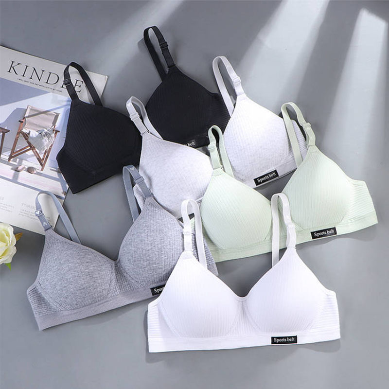 Bra Nirkabel Tipis Wanita 3 Bu - Mastectomy Bra Pocket ulasan dan harga
